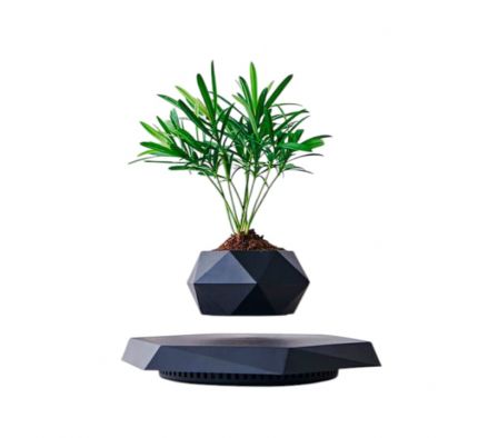 Plantera Magnetico Flotante A-FP31