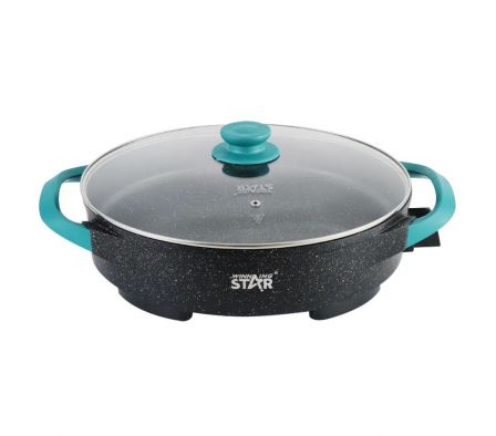 Sarte Electico ST-9801